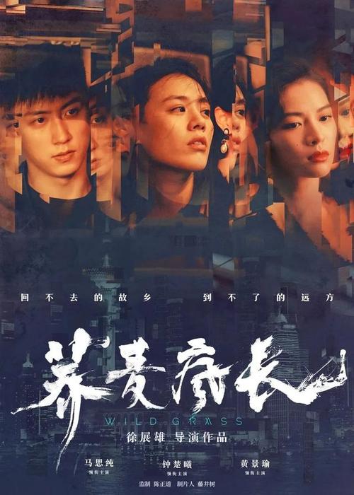 卡尔加里大学公共管理文凭证书